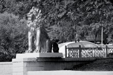 king, the prince ... / .........