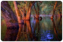 Prypyats / ***