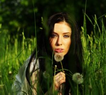 touch of dandelion / .....
