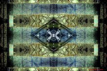 3-trash flower / urbanizm