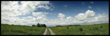 Field 2 / )))))))))))))))))