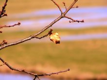 Einsamkeit / ***