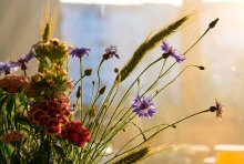 A piece of the bouquet in the rays of the departing sun / -----