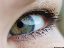 ...kitten eye... / http://oly43club.ru/