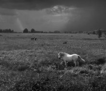 Before the storm / ***