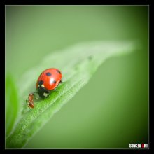 Untitled / ......