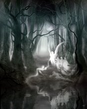 black forest / Lostsloulswood in Cornholeshire