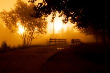 golden haze / ***