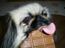 sweet tooth / ***