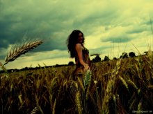 in the field ... / ***