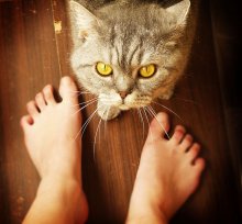 of curiosity / ***