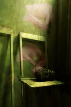Dream of flower.. / son cvetka