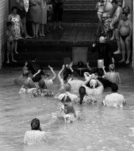 Procession / ***
