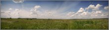 Summer meadow / ***