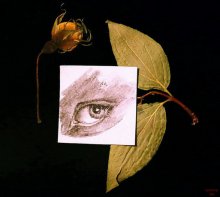 still life with an eye / -------------------------