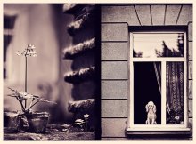 inshy Lviv ... / ***