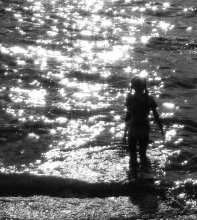 nereid / ***