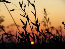 Sonnenuntergang / ***