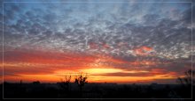 paint the sky / .....