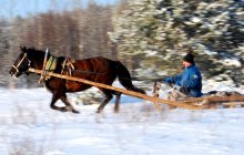 ... Im Winter Spur / ......