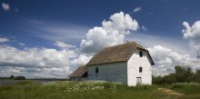 Water mill / ***