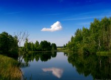 Natur pur / ***