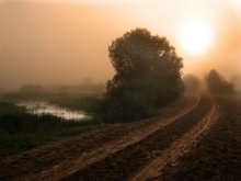 road in the fog / -----------