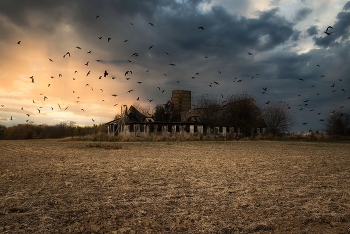 Abandoned Farm / ***