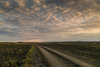 On the road with clouds / ***
