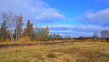 Autumn / ***