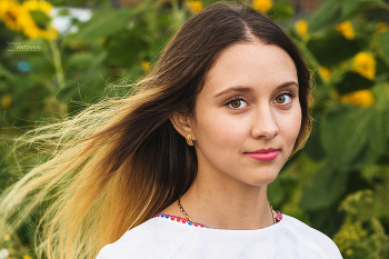 Girl in sunflowers / ***