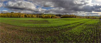 Autumn field / ***