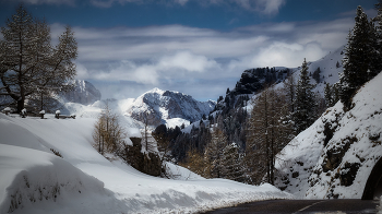 After snowfall / ***