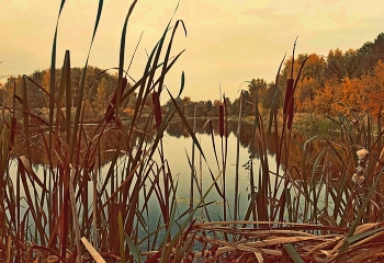 November / ***
