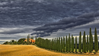 Finca / Toskana