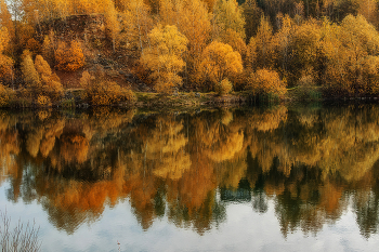 Reflection / ***