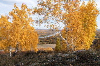 Golden Autumn / ***