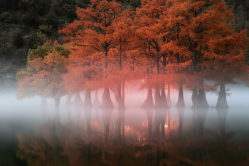 Smoke on the Water / ***