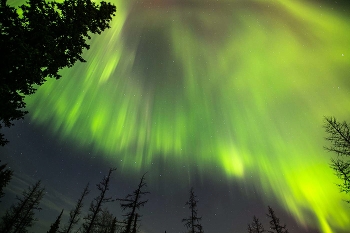 Celestial spectacle / ***