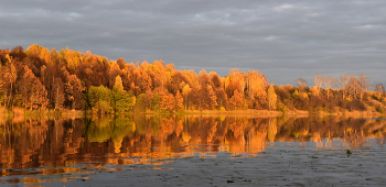 Autumn / ***