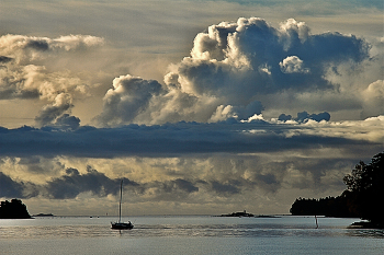 September morning / ***