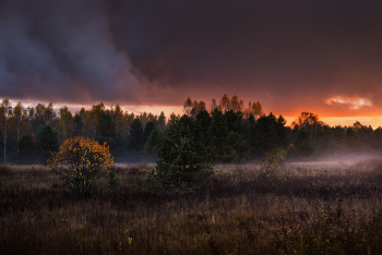 Autumn Sunset. / ***
