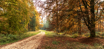 Autumn / ***