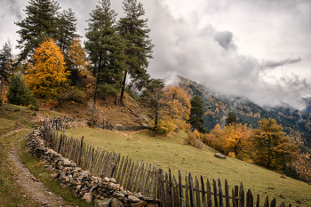 Tsvirmi Autumn / ***