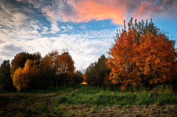 Autumn / ***
