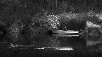 Life around / ***