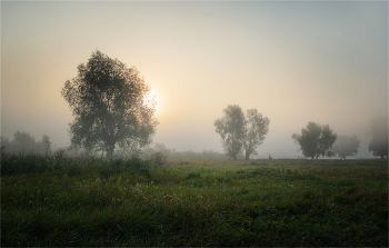Peace and quiet / ***