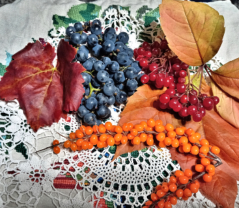 Autumn gifts of nature / ***