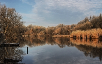 In the golden autumn / ***