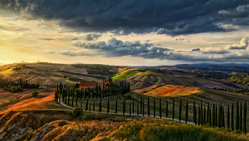 Tuskany / ***